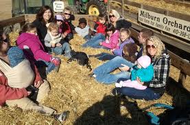 Hayride picture from Milburn Orchards